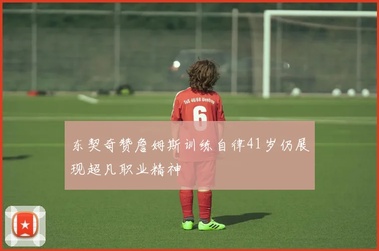 东契奇赞詹姆斯训练自律41岁仍展现超凡职业精神