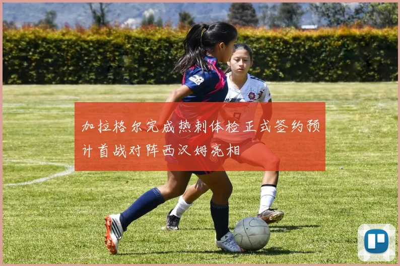 加拉格尔完成热刺体检正式签约预计首战对阵西汉姆亮相